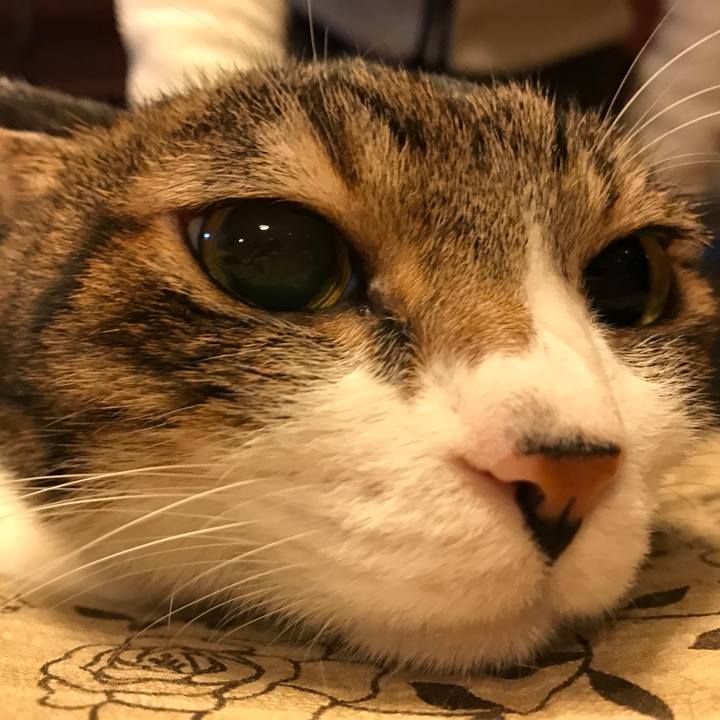 209d5cd7 ef6b 462a ae36 0aadd780c7ab