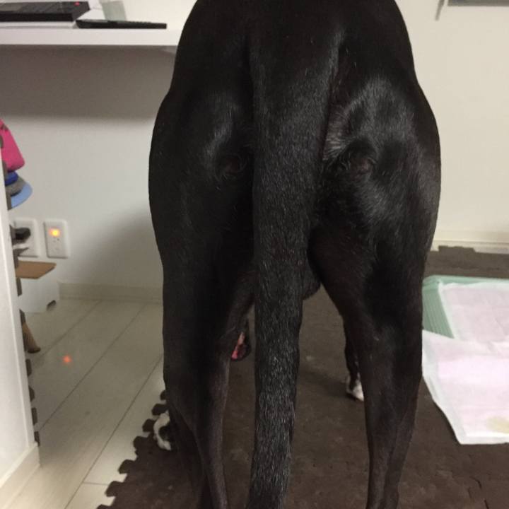 209db3ae 39c3 4b8d ad53 f89ca3306f68