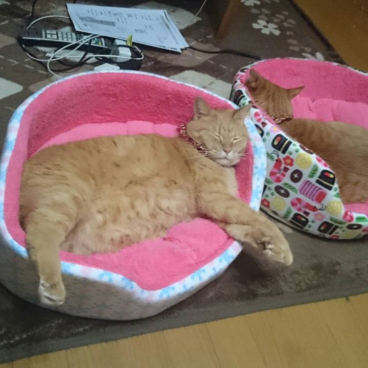 209dc3b7 449b 4227 aa19 217cdf15d7b7