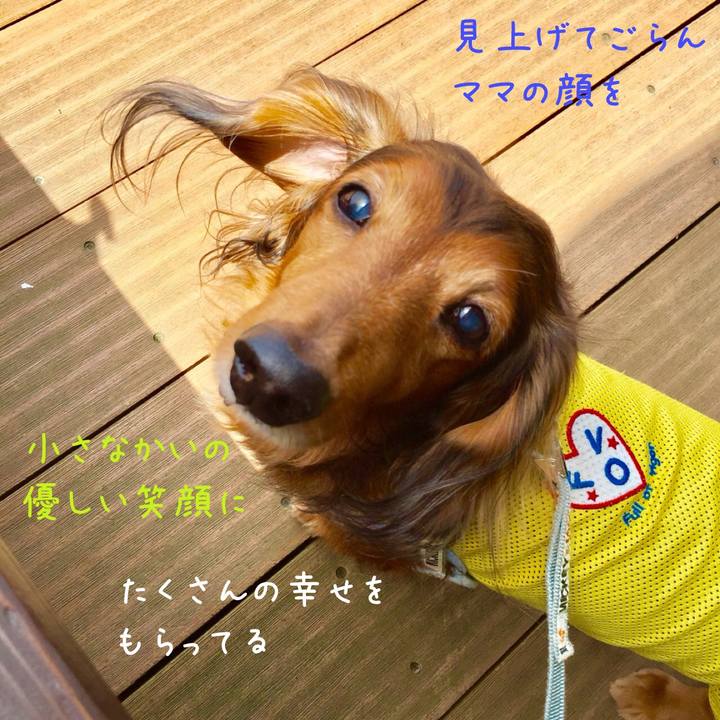 209df7a3 7139 4d85 a42c 07f29bb4e9d0