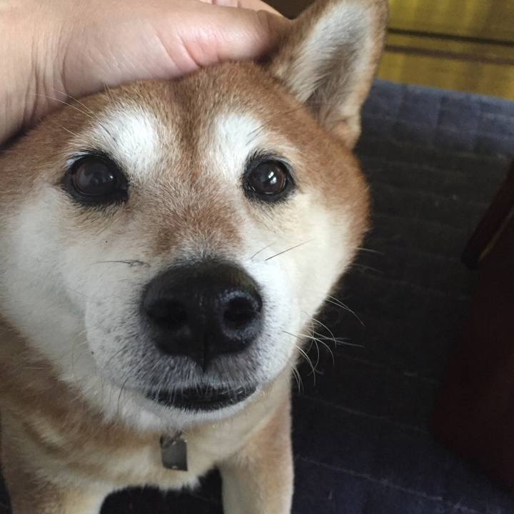 209ebe10 cb8f 4e08 8baf 864fe7ce604b