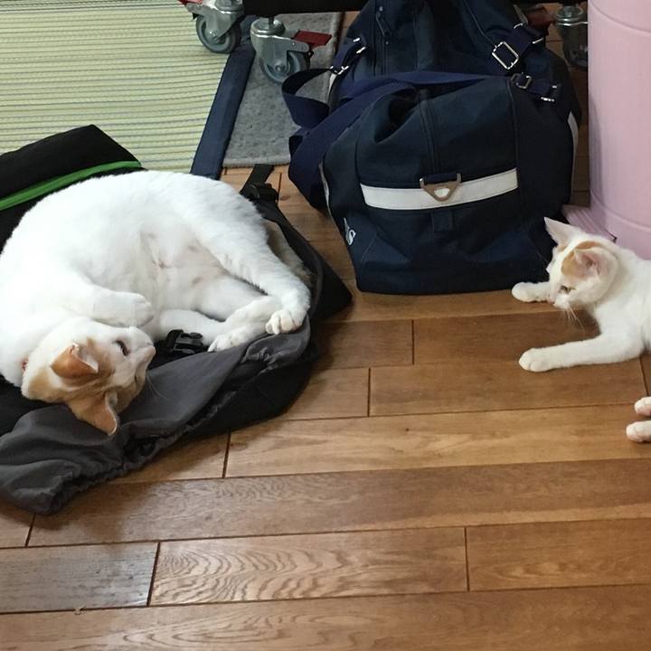 209ed9e7 c62e 4d03 9132 880fd2ba0416