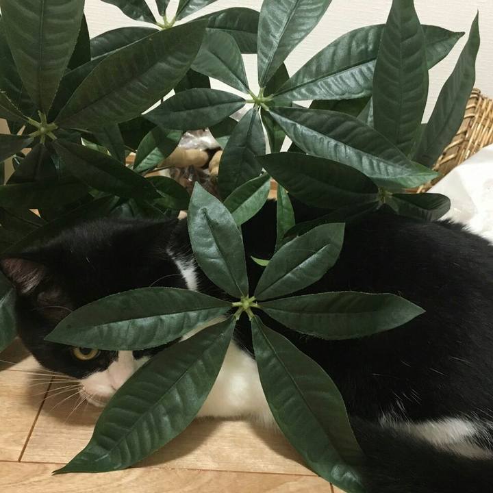 209ee199 bf6d 45b2 b476 a5ce54d6cafb