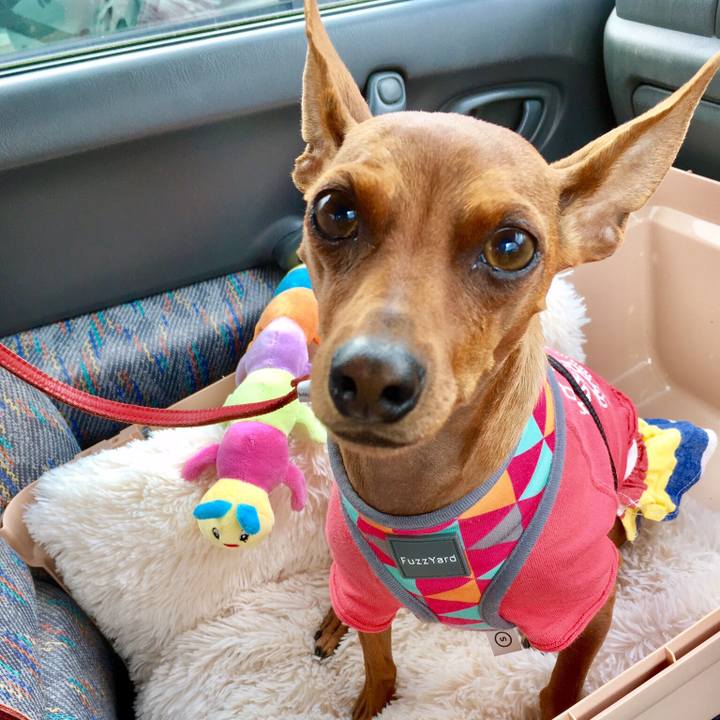 209f0d5c 8f6b 4ba6 904f d62bcbd191d9