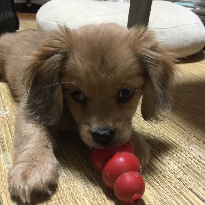 209f46a0 30cd 4b16 9493 45a6144420f7