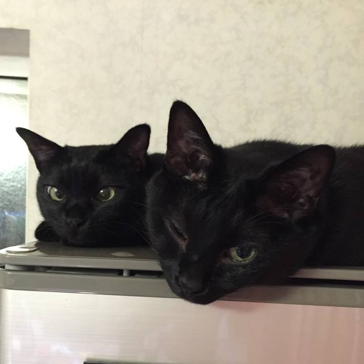 209f72d5 f403 4142 b9be 79b2da5a1763