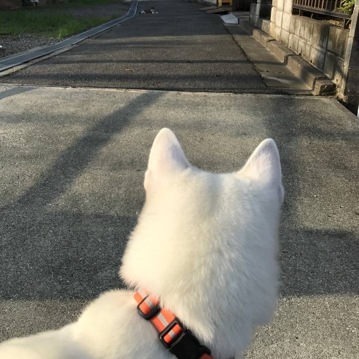 209fa497 7912 495d 8ab2 406417e08f4e