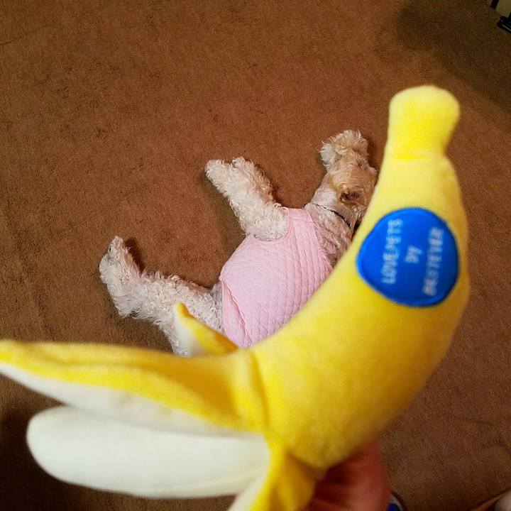 209faf3f bd0e 4a4c ae83 328642ae0906