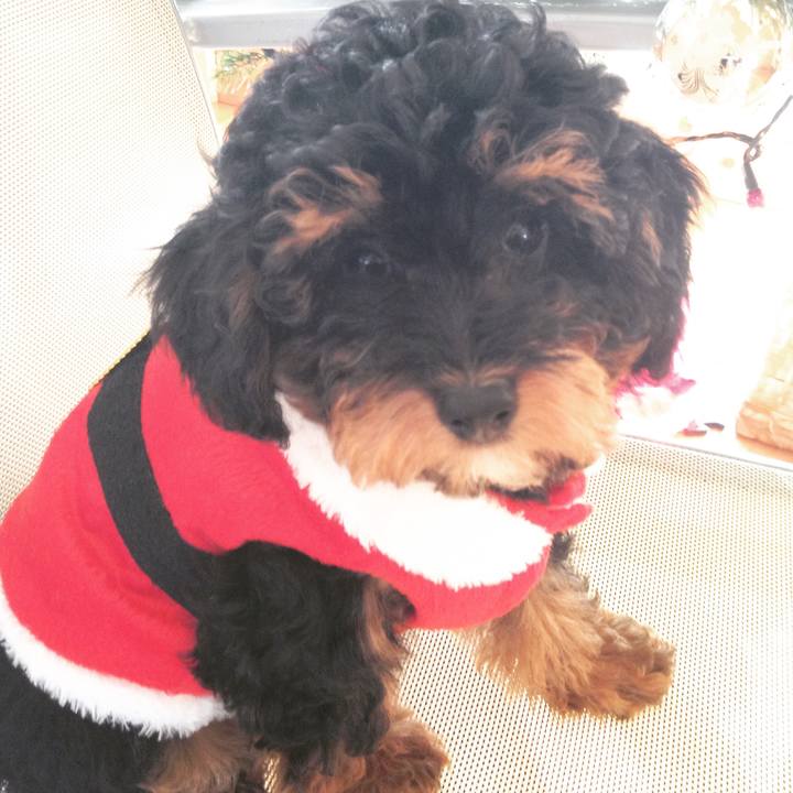 209fe062 e1f7 47d9 b692 f27d2722c6d1