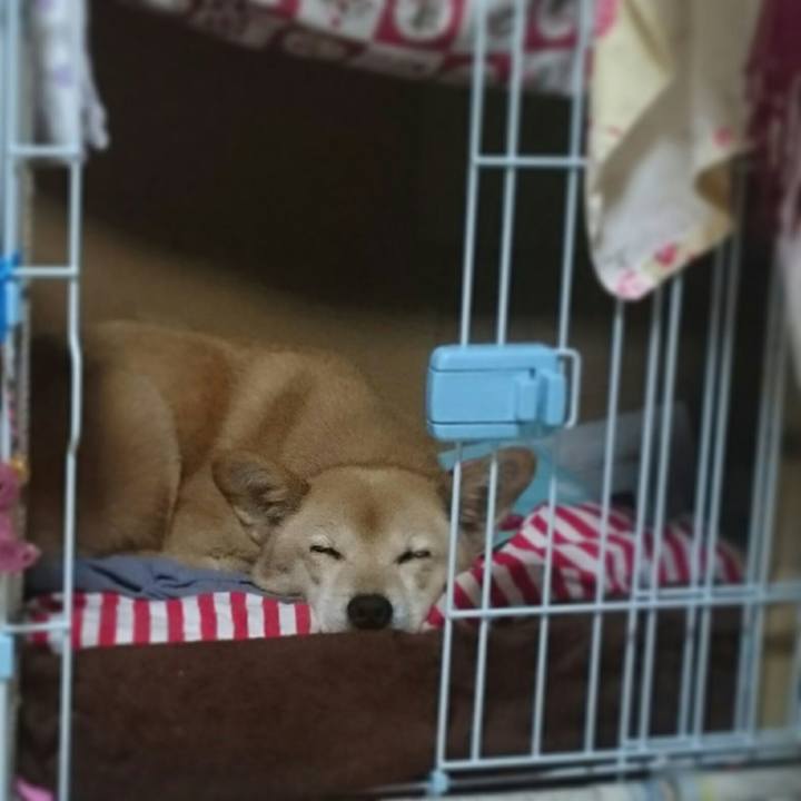 209fe25c a205 4b9b 86ad e3c991d01d38