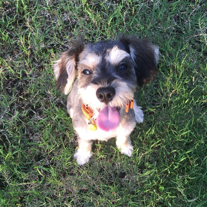 20a0b94d a2c7 4593 9937 e70995870b15