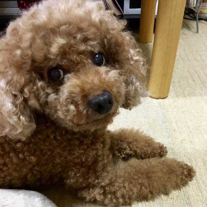 20a15e1d d14b 44c5 8cb8 ca004bcbdc87