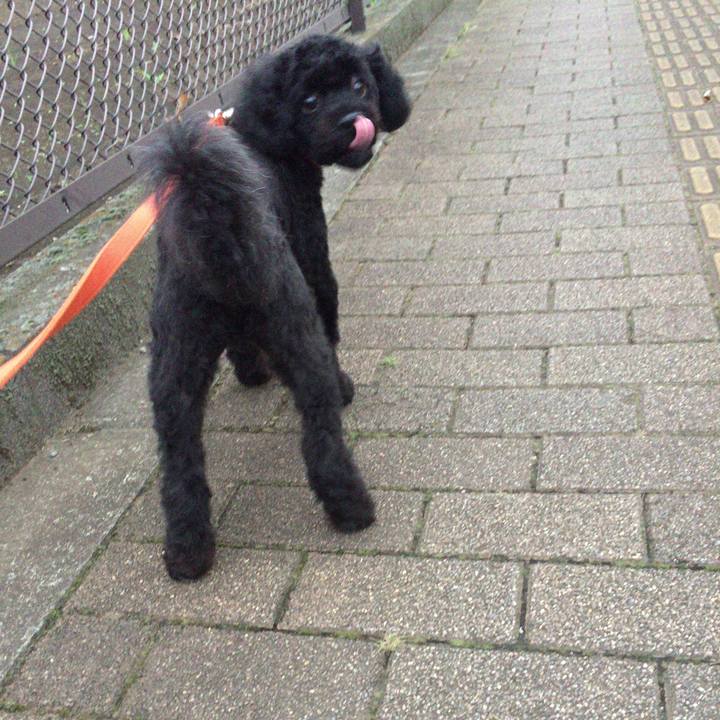 20a16b65 6300 41b5 9336 c436a435dfd7