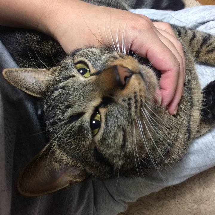 20a24358 0c03 4aea b373 26d625f0d4ff