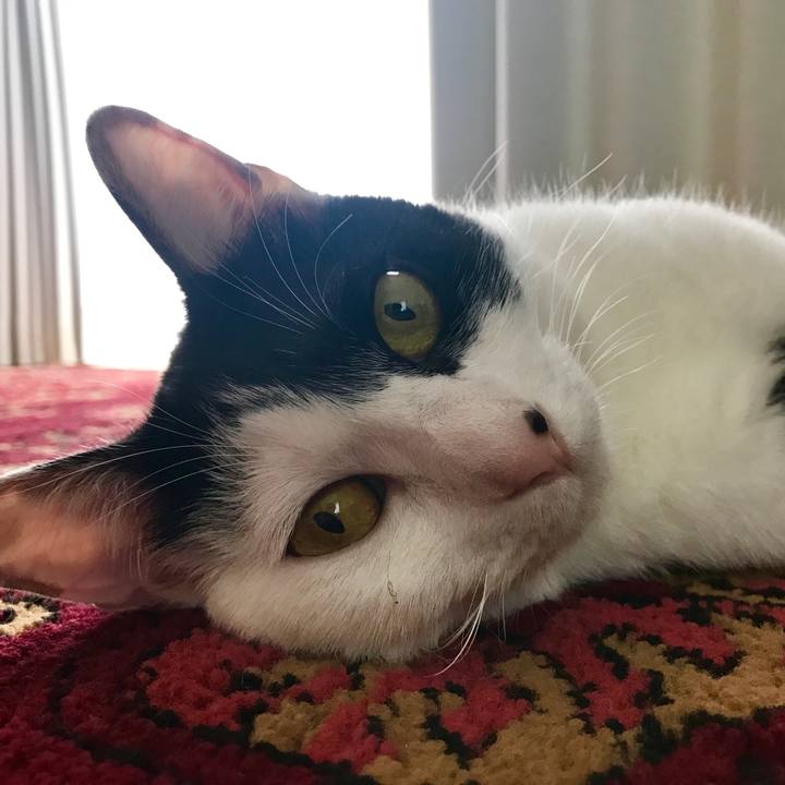 20a26385 103b 42de b579 670627418d1c