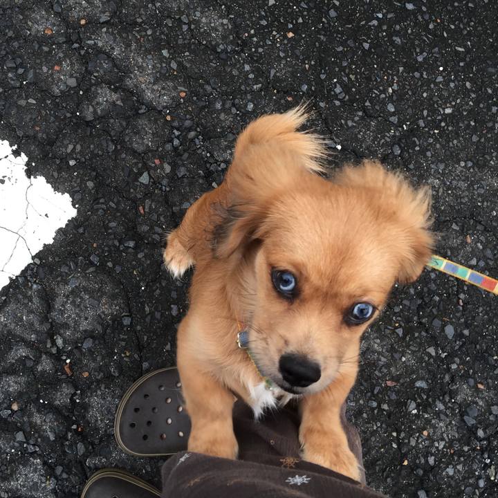 20a2703b bf58 41d3 844c e28ef1356345