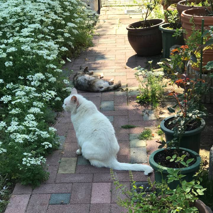 20a311f4 cb23 43d1 b5db 5dae3068cac7