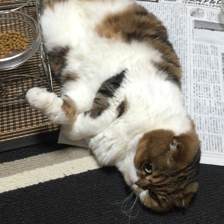 20a35bcd ec2e 4b24 9f5b 118c2d6e59ed