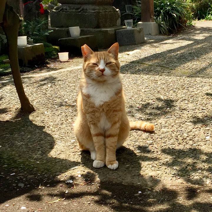 20a35f81 bc14 42e7 8be6 a36e1e61e3e3