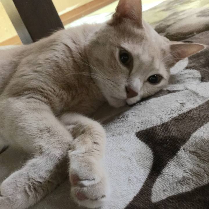 20a37e72 1a28 4a66 82be 635f69968705