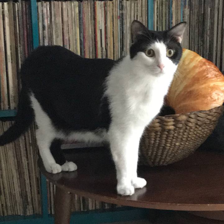 20a393d1 1b90 4bff b655 edeb80c1a2fc