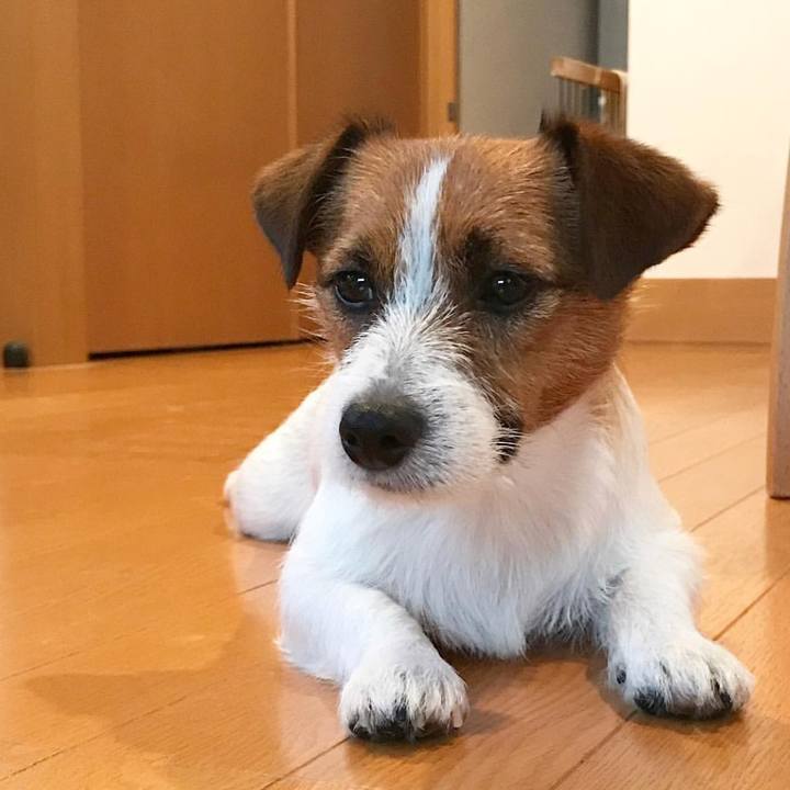 20a3eafd 757e 460d 896b 379455310e39