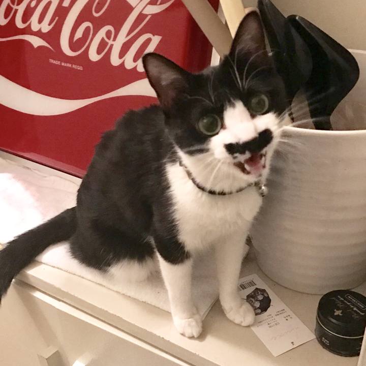 20a416fe bbea 4e17 a2fe 4dbec6a7afd1