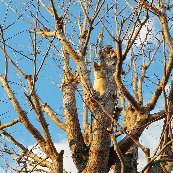 20a4fa84 83aa 4479 99ba 15dad20075a6