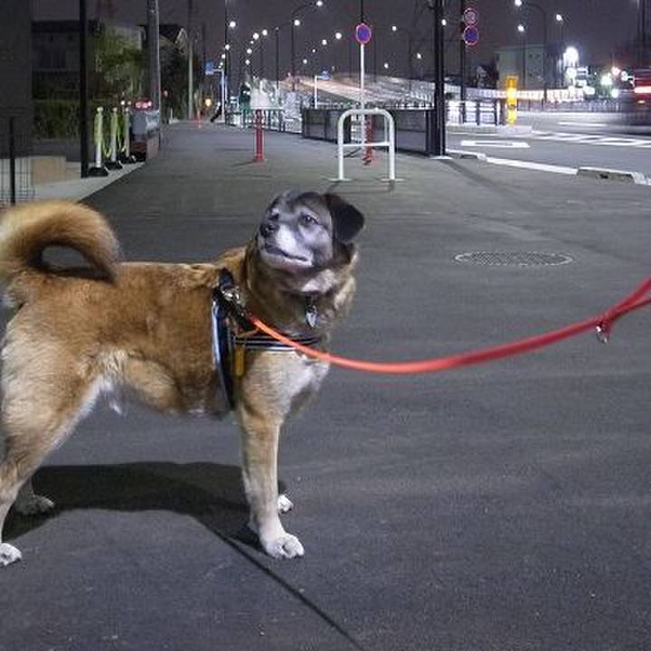 20a6209c ba18 43fc 826e edadcf742b09