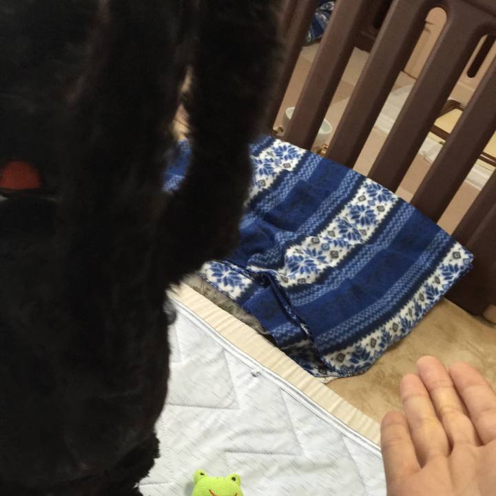 20a62b2a 1288 41fd 874a 563fee3f3ffb