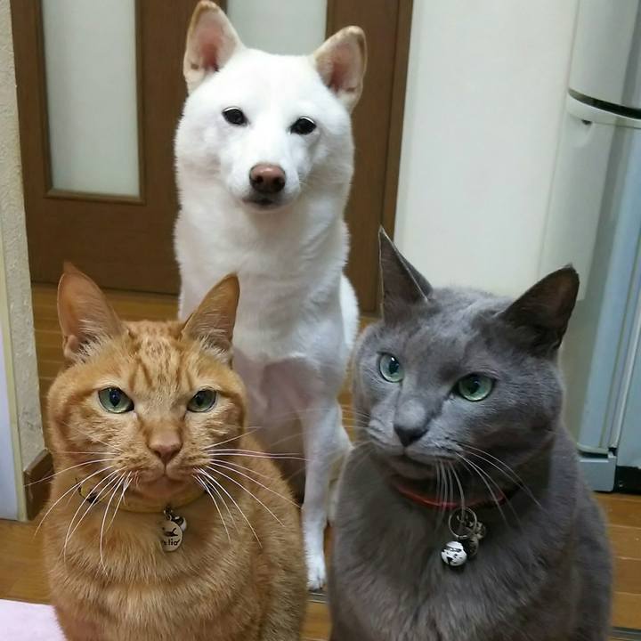 20a6c3a8 430d 4c36 8b62 671690d83649