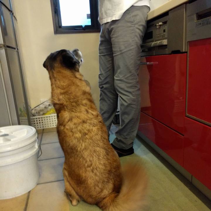 20a73831 d1b4 481f 928b cc99b068ee08