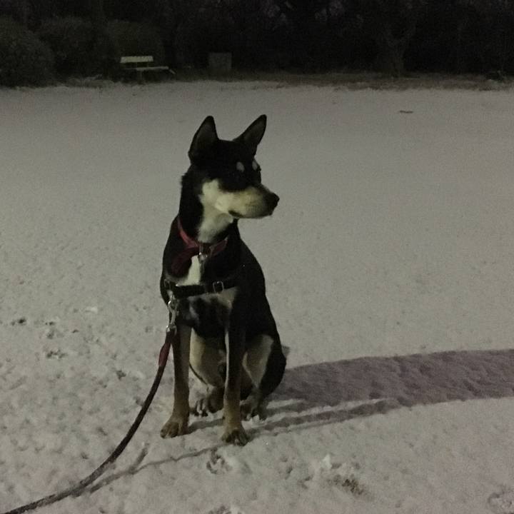 20a74f3d 9af4 4166 831b 2bf70b19c319