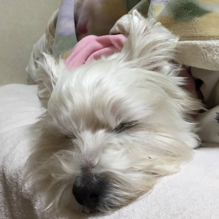 20a7784d ad74 4538 a8cd 562a0f9910f0