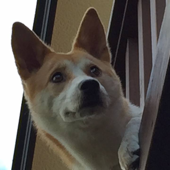 20a7adb0 da35 42e6 af1d abea3fb8b263