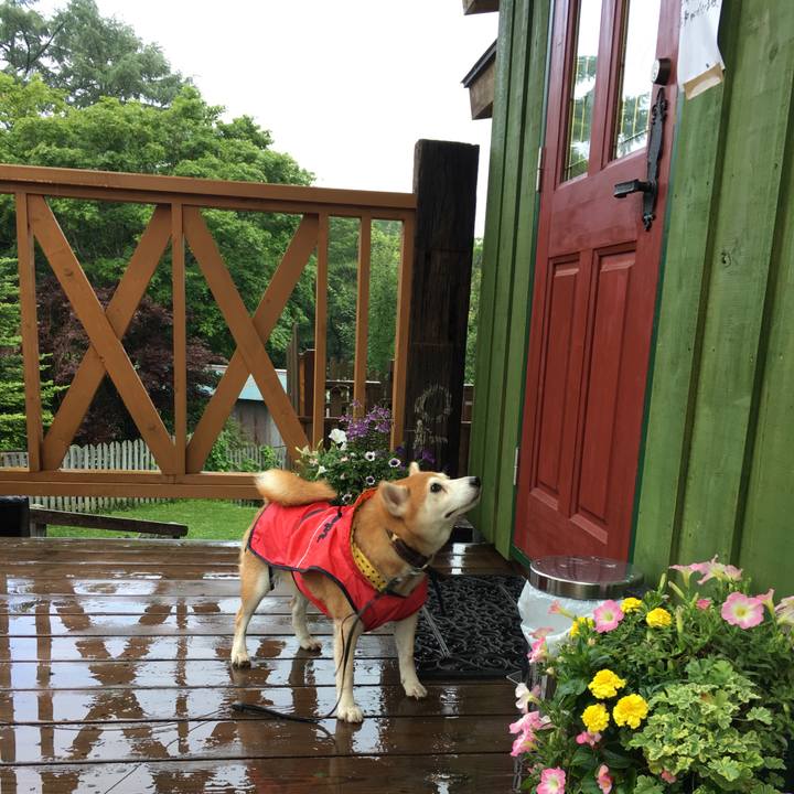 20a7dc02 cead 4226 b9db 01773a9a55ea