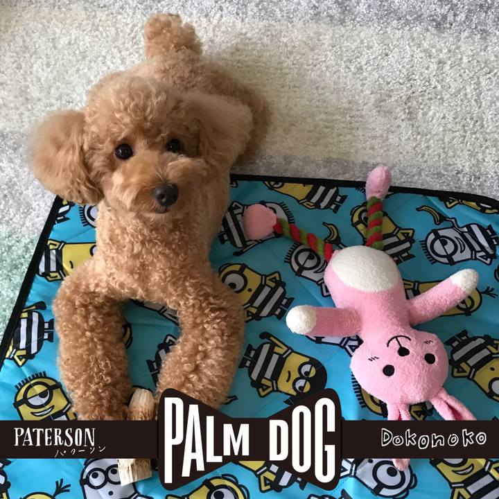 20a833b6 210b 4f31 8a2d ac7e313a88a5