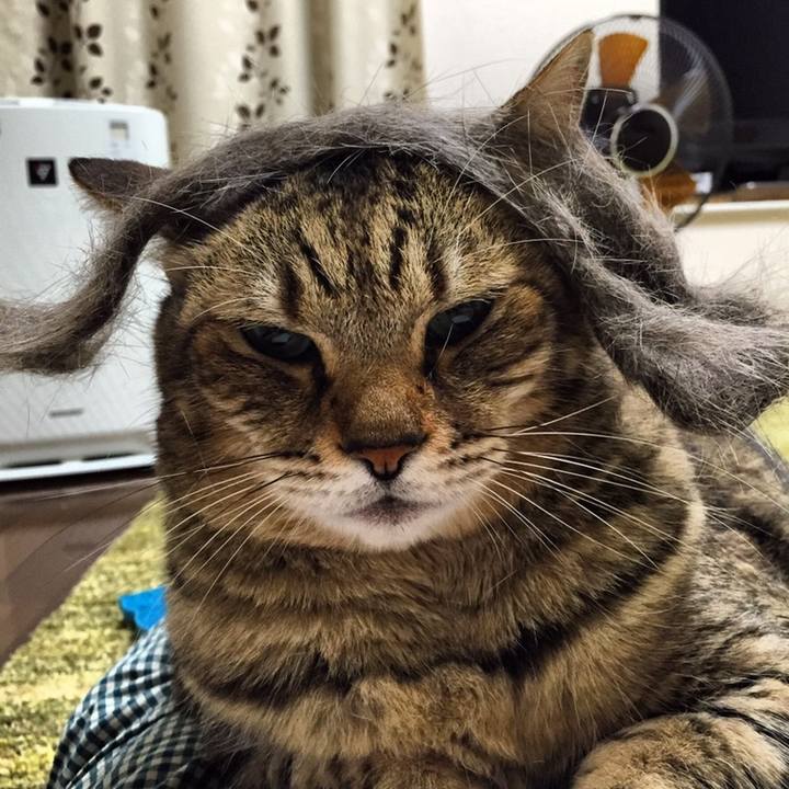 20a8452b 0f11 40a3 92be 66b1c22ce3e6