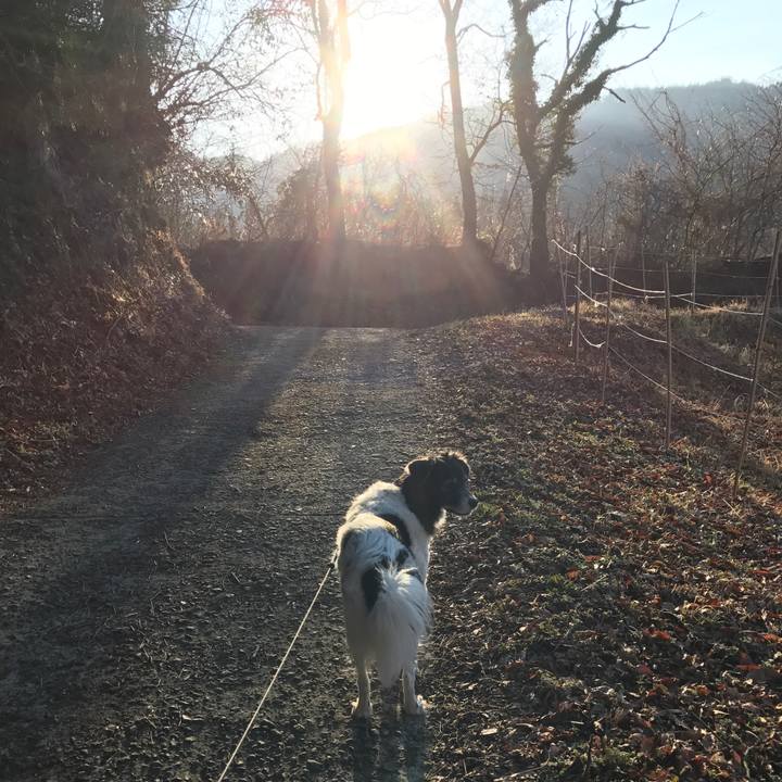 20a86bbc 74fd 4490 9552 0f2be5563a38