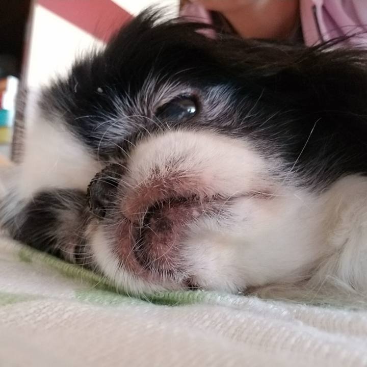 20a8a004 9539 440d 8ecc a3c795fb3113