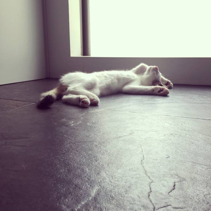 20a8cc58 df3a 4394 9e2d 7e0a56028c77