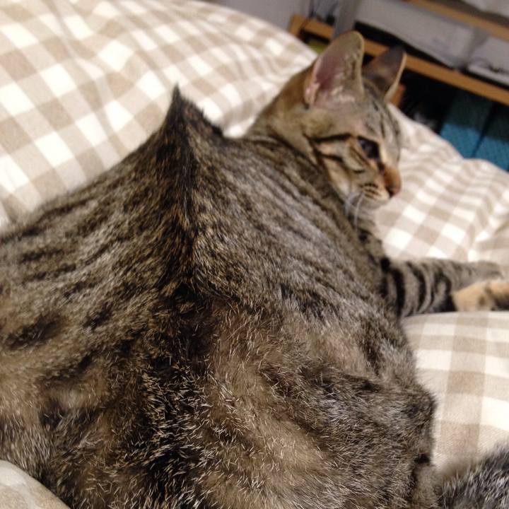 20a94975 3b67 4be2 be7d 2505ddfdd749