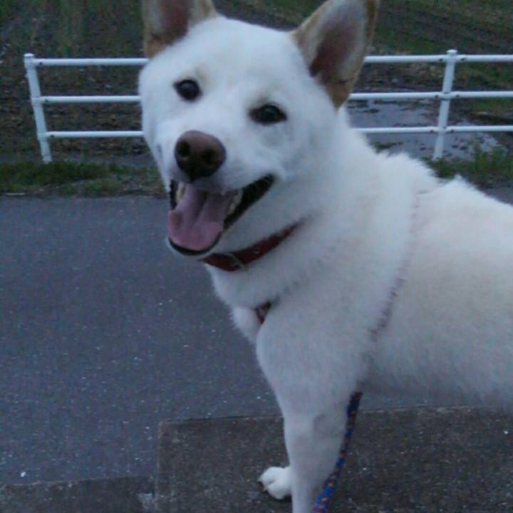 20aa46d0 b12a 46b9 95bd dbe2833cffed