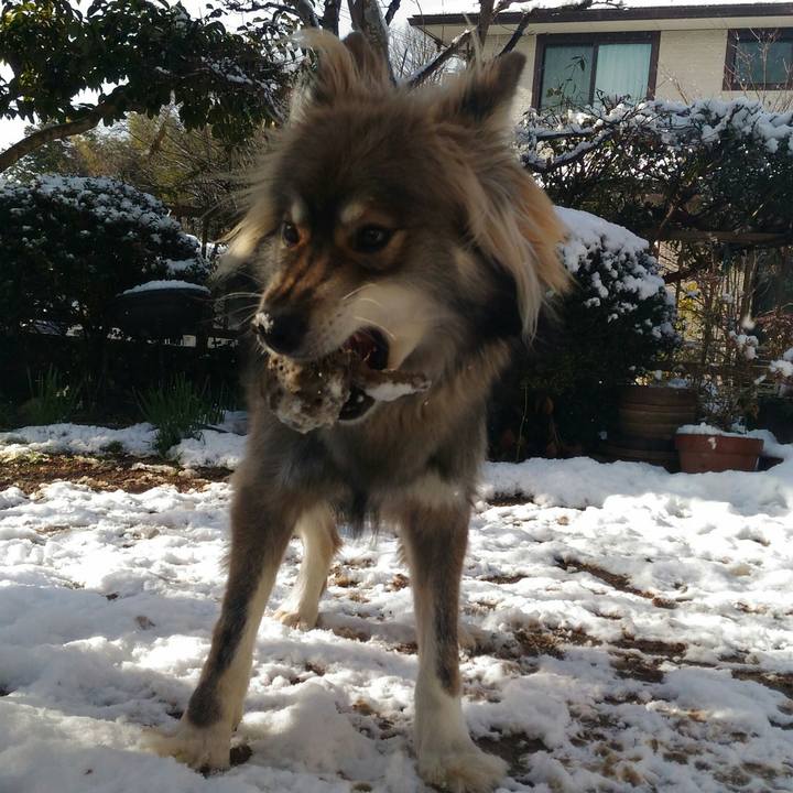 20aa4ce1 047c 421f a574 53a968c9f0d1