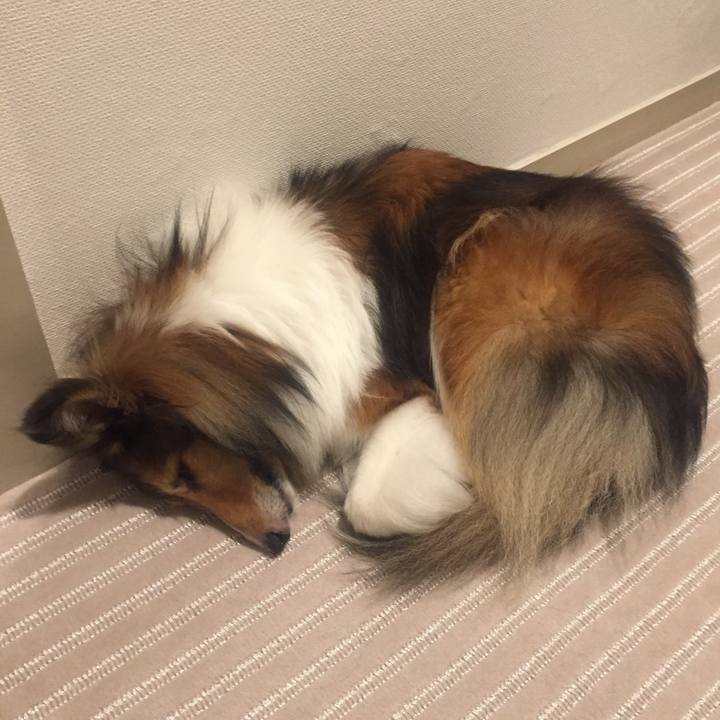 20aa607f b93c 4acd b8ce 81f7a61002d7