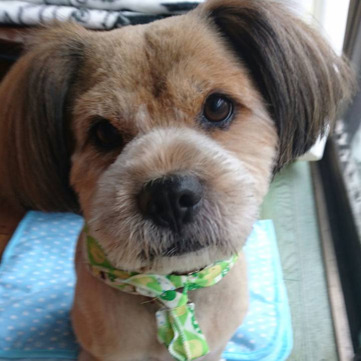 20abf1fc 5ad7 48be a871 3418fbc4beee