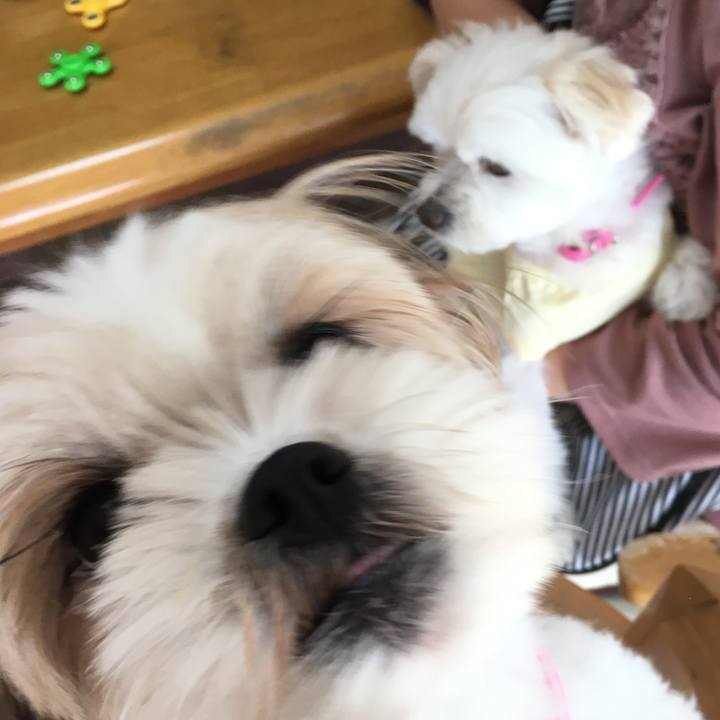 20abf7da 2d23 4f92 b45c 89196f63f7fc