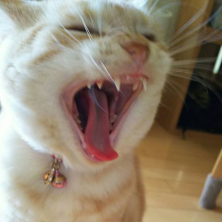 20ac0c39 eb8e 4887 94a6 b428ae7d0459