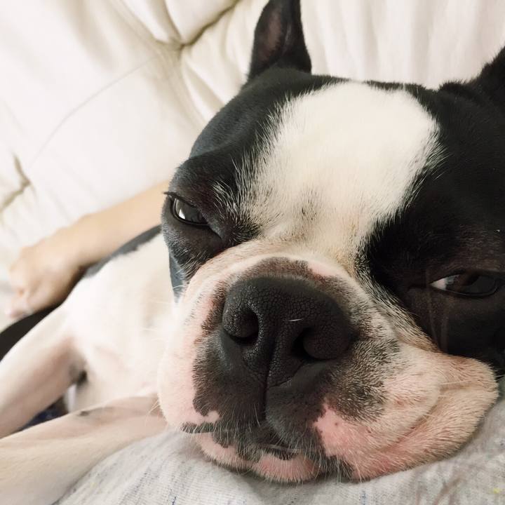 20ad27f9 e535 441d 861c 155cfad100fa