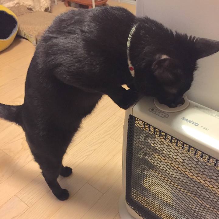 20ae7a11 6491 49b6 8ff8 06ecdfd054e5